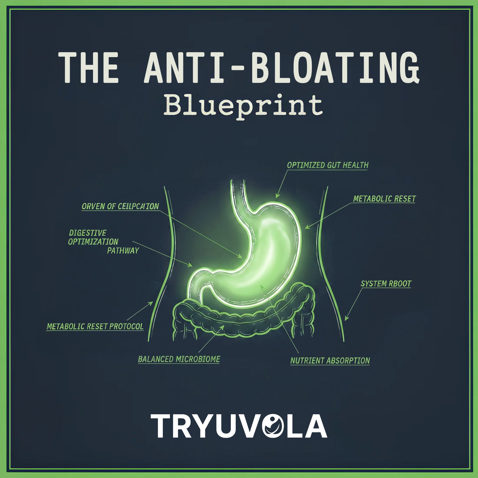 free-the-anti-bloating-blueprint-ebook